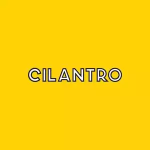 سيلانترو كافيه Cilantro رقم الخط الساخن الهاتف التليفون