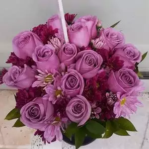 Flowers for Cairo hotline number, customer service number, phone number, egypt